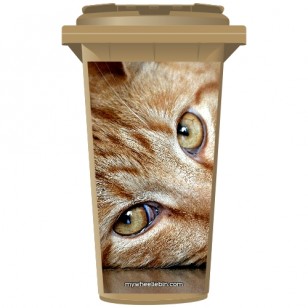 Tabby Cat Eyes Wheelie Bin Sticker Panel